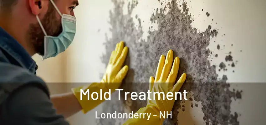  Mold Treatment Londonderry - NH