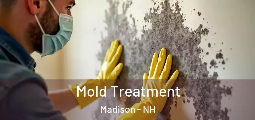 Mold Treatment Madison - NH