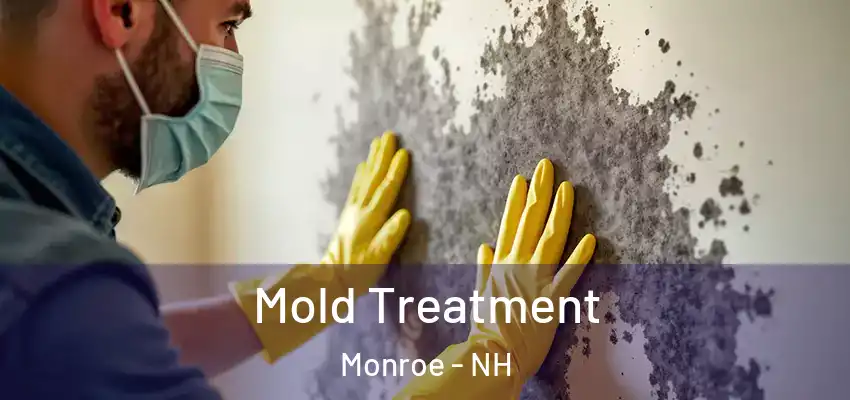  Mold Treatment Monroe - NH