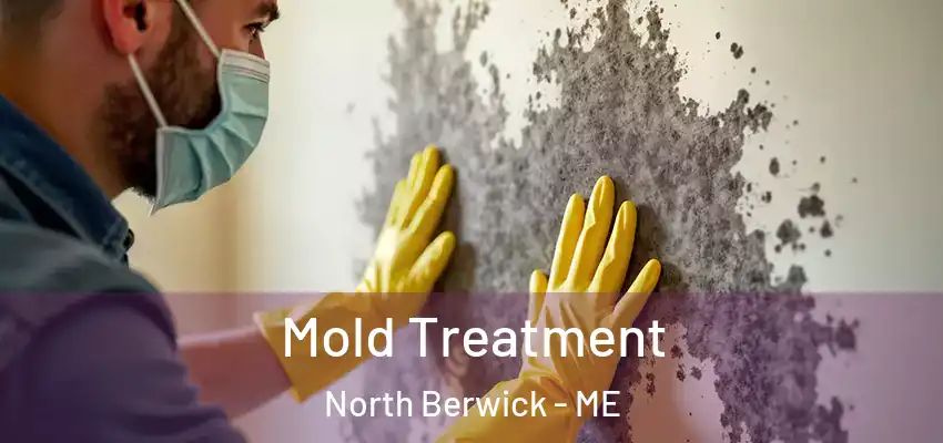 Mold Treatment North Berwick - ME