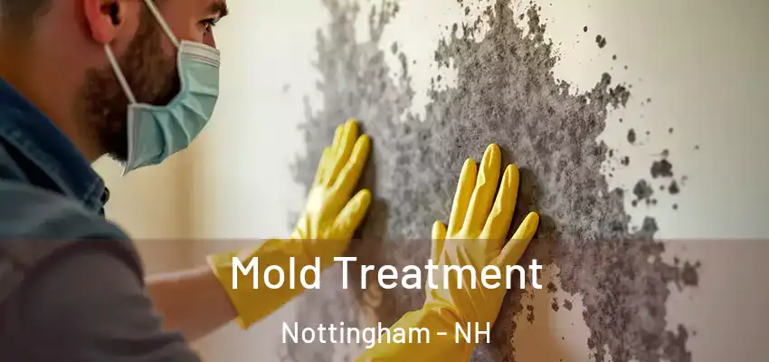  Mold Treatment Nottingham - NH