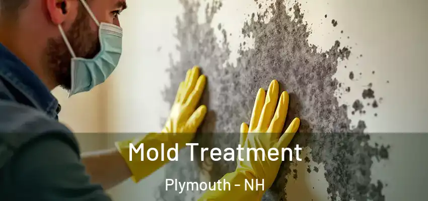 Mold Treatment Plymouth - NH