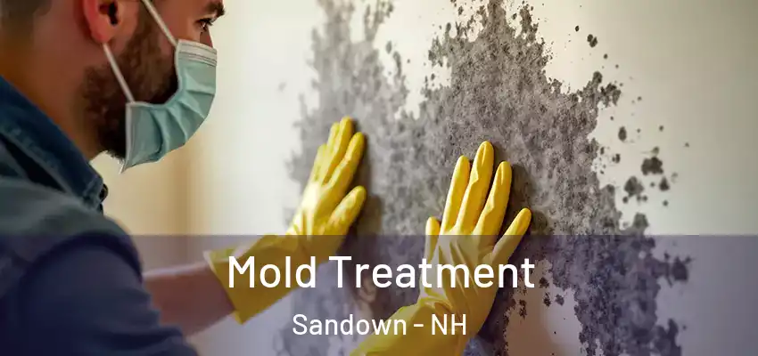  Mold Treatment Sandown - NH