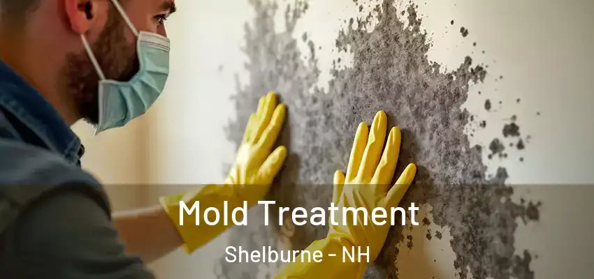  Mold Treatment Shelburne - NH