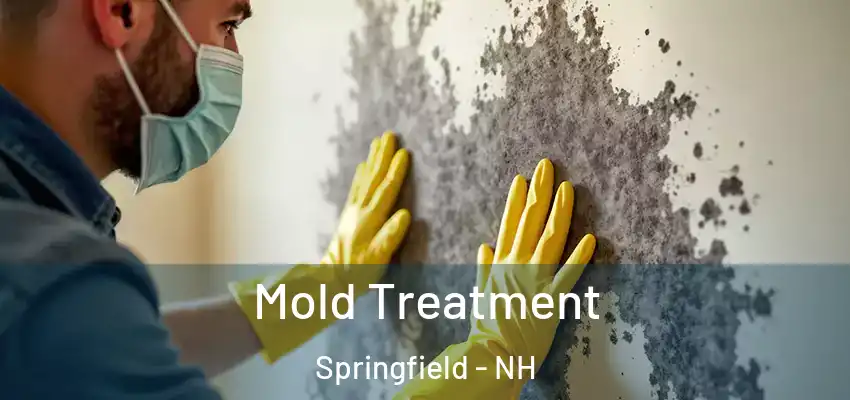 Mold Treatment Springfield - NH