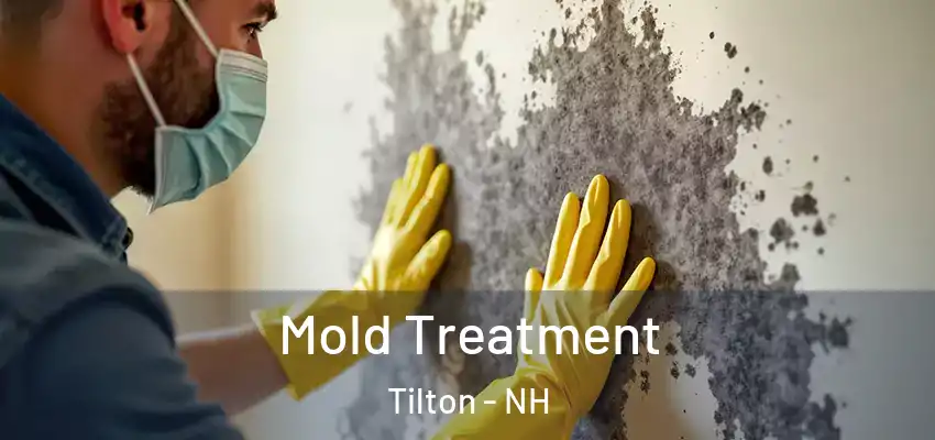  Mold Treatment Tilton - NH