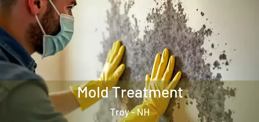  Mold Treatment Troy - NH