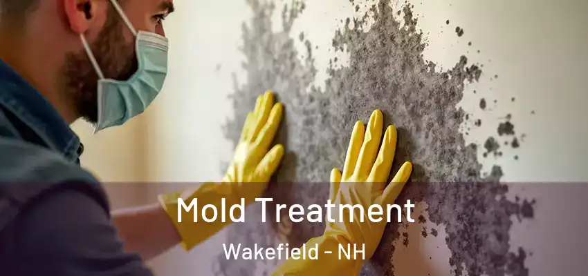  Mold Treatment Wakefield - NH