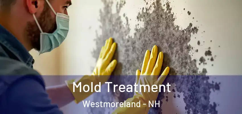  Mold Treatment Westmoreland - NH