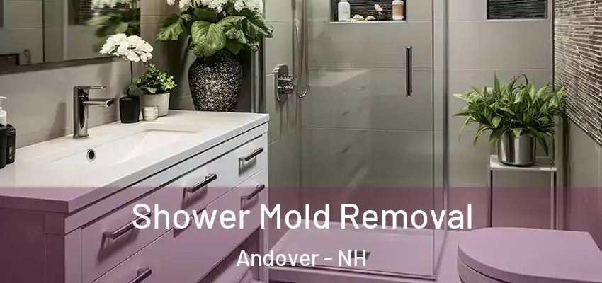  Shower Mold Removal Andover - NH