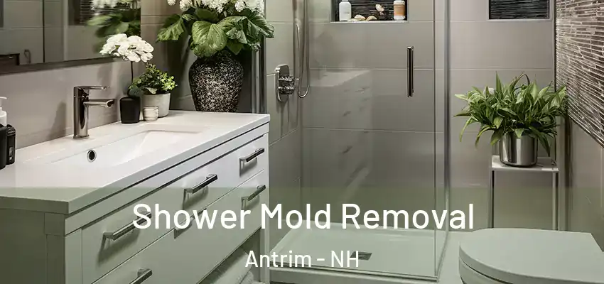 Shower Mold Removal Antrim - NH