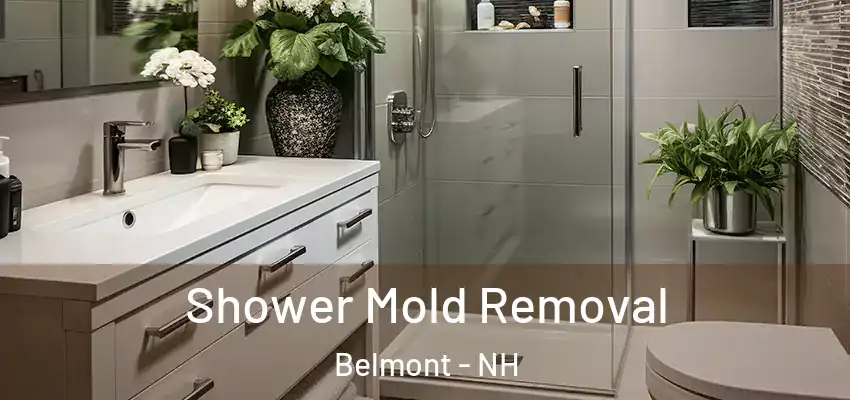  Shower Mold Removal Belmont - NH