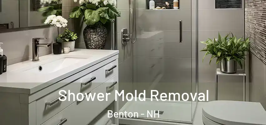 Shower Mold Removal Benton - NH