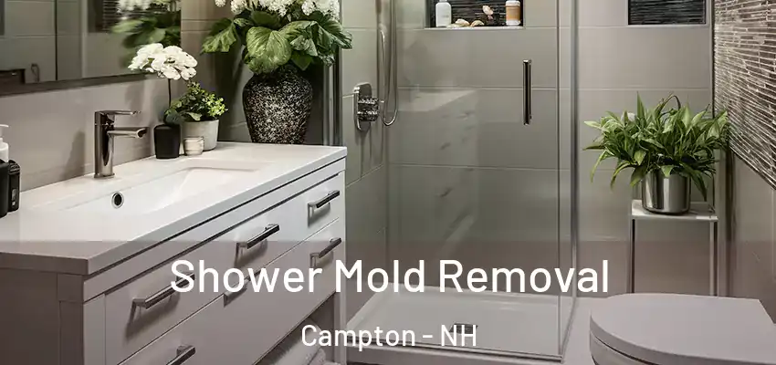 Shower Mold Removal Campton - NH
