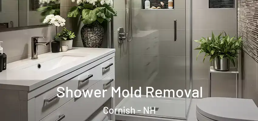  Shower Mold Removal Cornish - NH