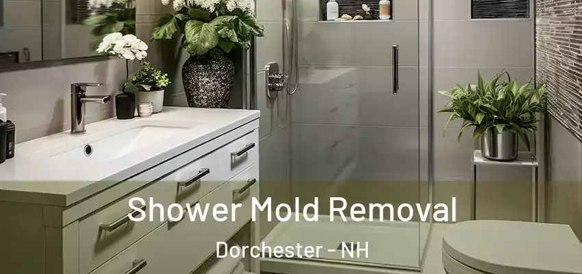  Shower Mold Removal Dorchester - NH
