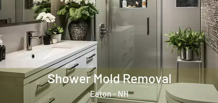 Shower Mold Removal Eaton - NH