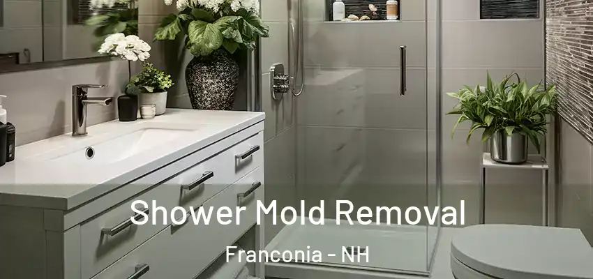 Shower Mold Removal Franconia - NH