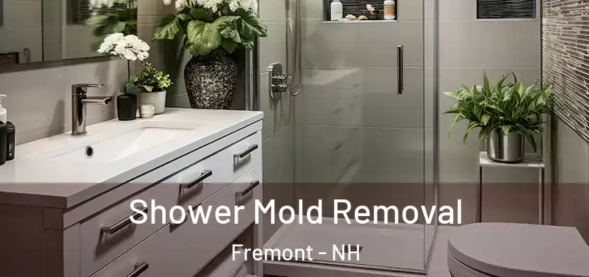 Shower Mold Removal Fremont - NH