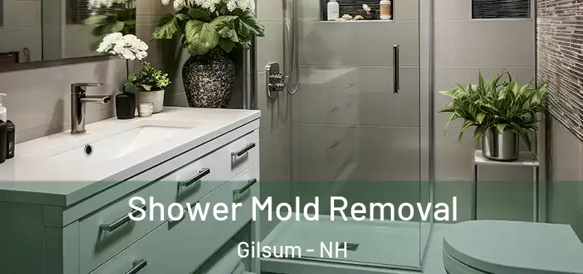  Shower Mold Removal Gilsum - NH