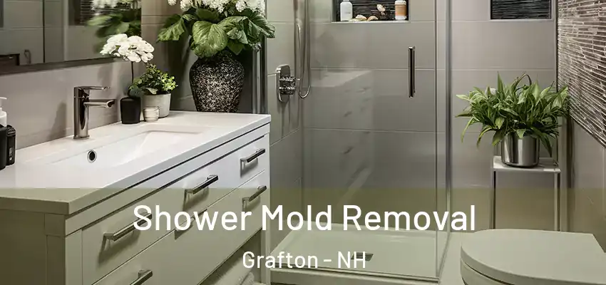 Shower Mold Removal Grafton - NH