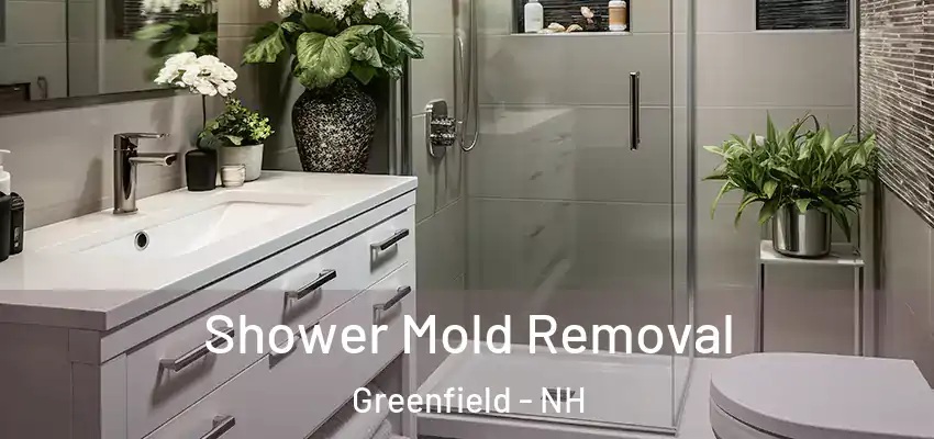  Shower Mold Removal Greenfield - NH