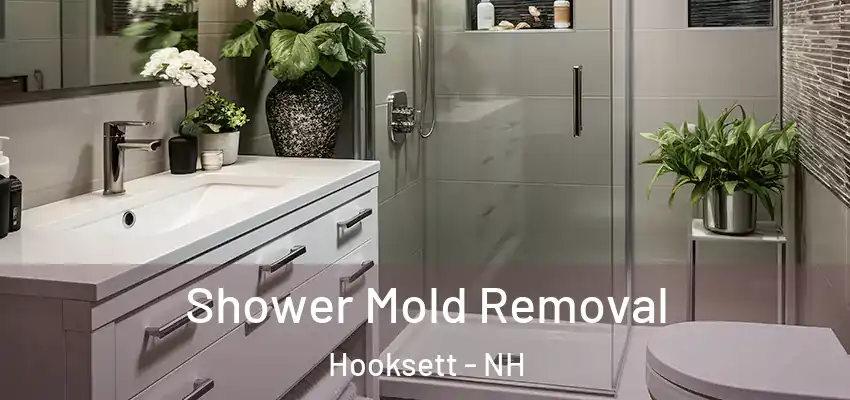  Shower Mold Removal Hooksett - NH