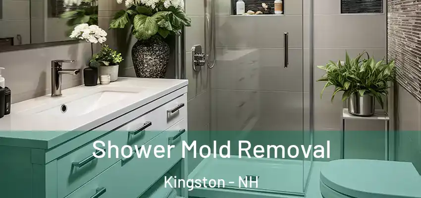  Shower Mold Removal Kingston - NH