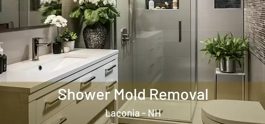 Shower Mold Removal Laconia - NH
