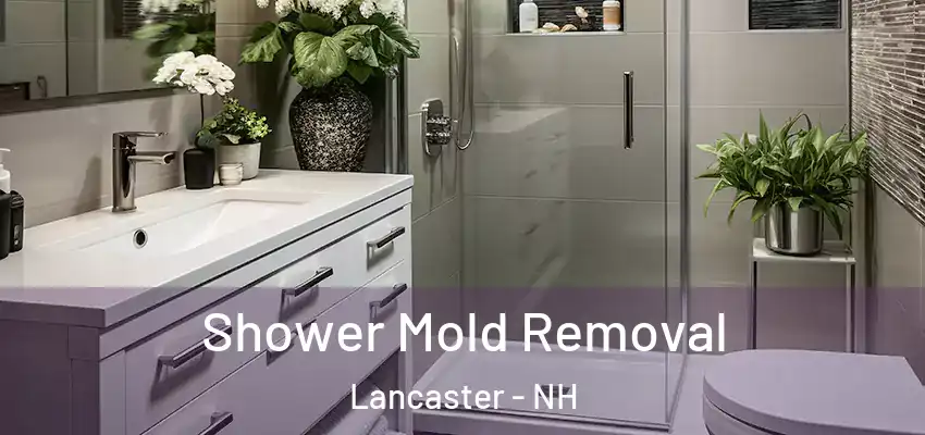 Shower Mold Removal Lancaster - NH