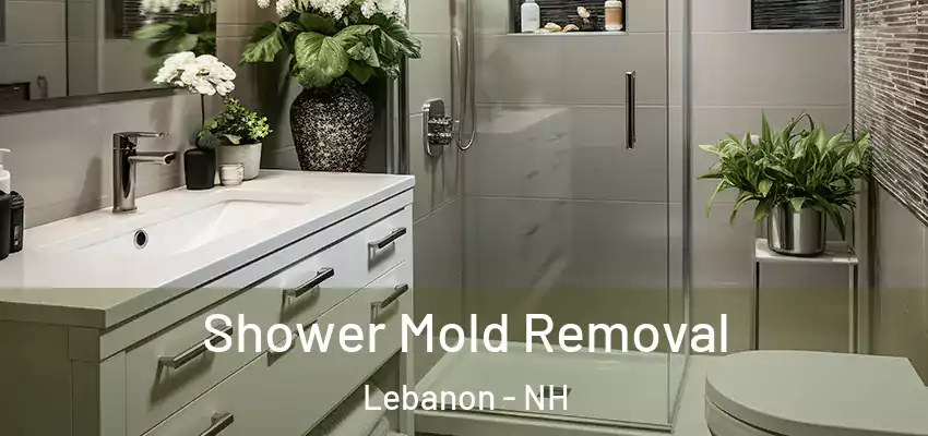 Shower Mold Removal Lebanon - NH