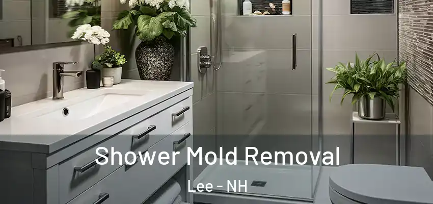  Shower Mold Removal Lee - NH
