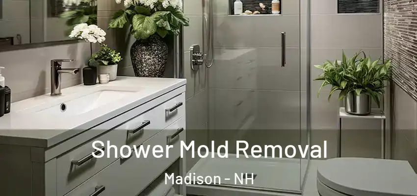 Shower Mold Removal Madison - NH