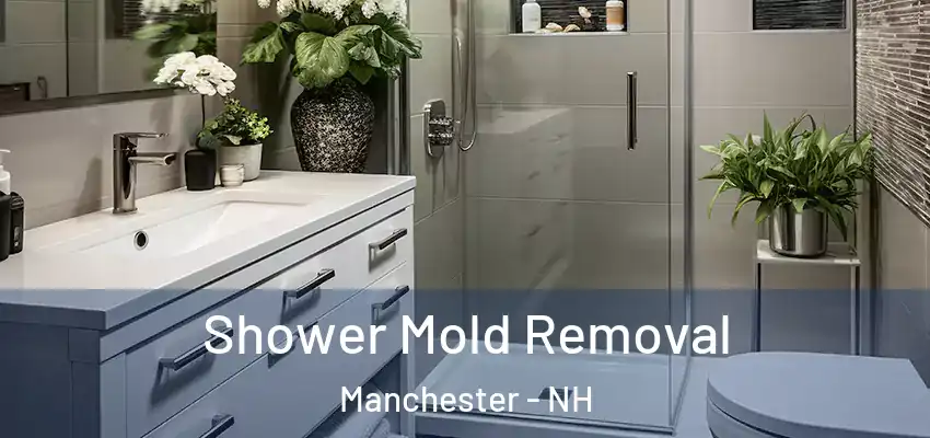  Shower Mold Removal Manchester - NH