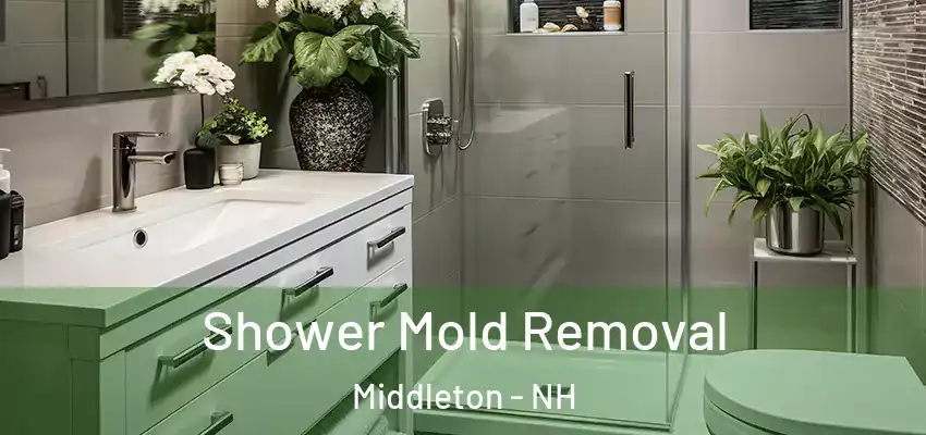  Shower Mold Removal Middleton - NH