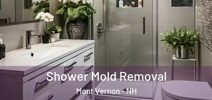  Shower Mold Removal Mont Vernon - NH