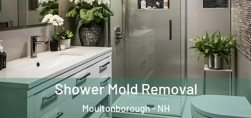 Shower Mold Removal Moultonborough - NH