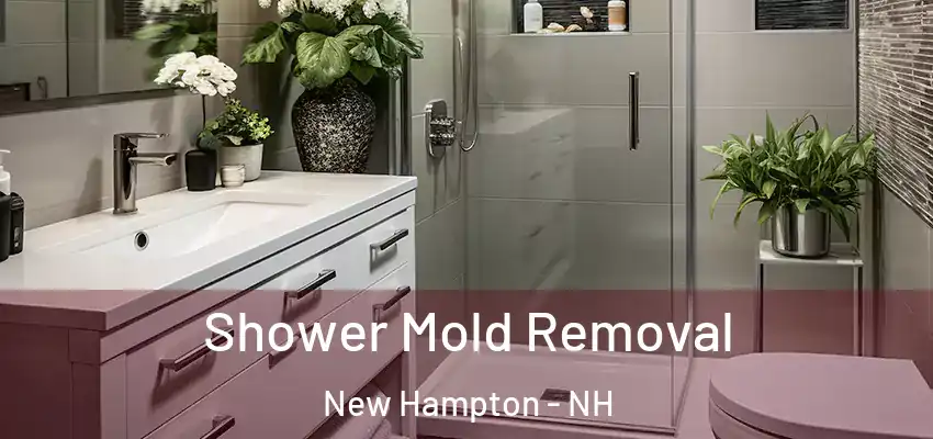 Shower Mold Removal New Hampton - NH