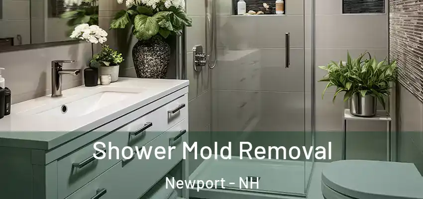  Shower Mold Removal Newport - NH