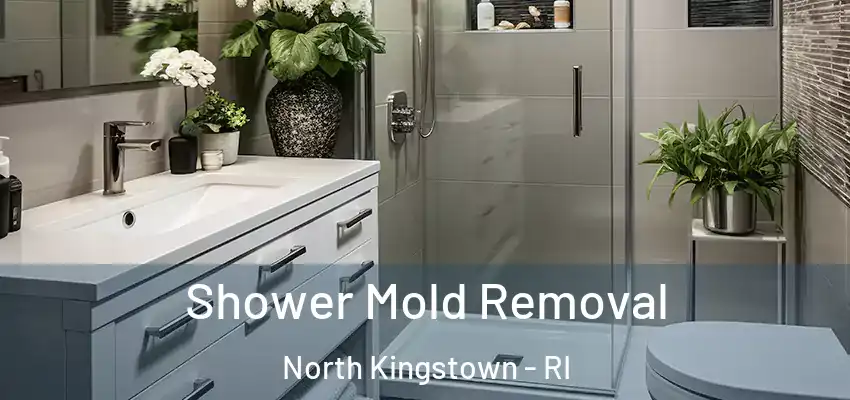  Shower Mold Removal North Kingstown - RI