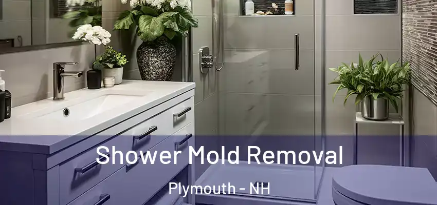 Shower Mold Removal Plymouth - NH