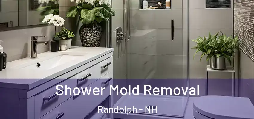Shower Mold Removal Randolph - NH