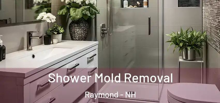  Shower Mold Removal Raymond - NH