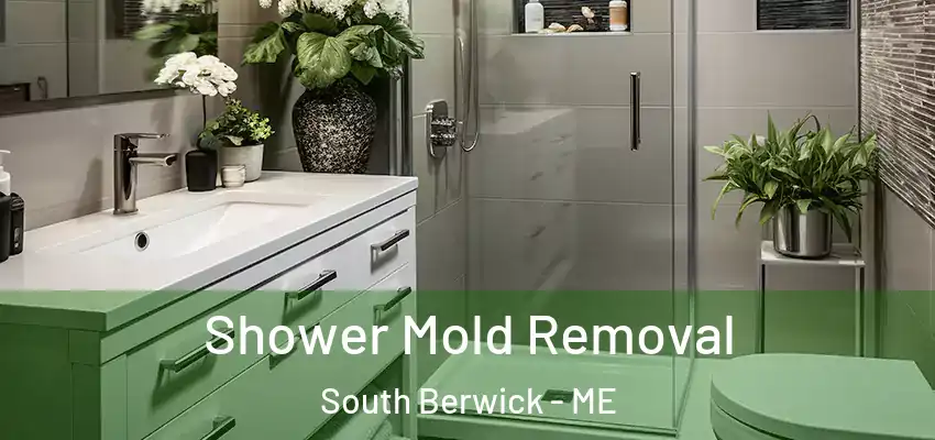  Shower Mold Removal South Berwick - ME