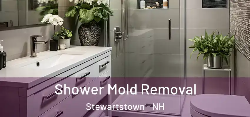 Shower Mold Removal Stewartstown - NH