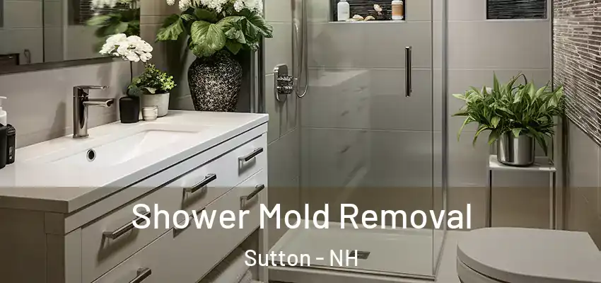  Shower Mold Removal Sutton - NH