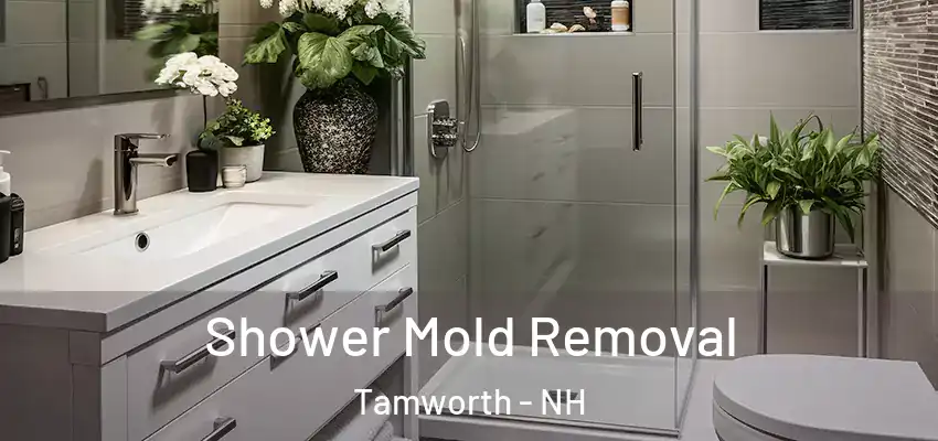 Shower Mold Removal Tamworth - NH
