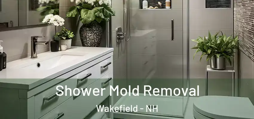  Shower Mold Removal Wakefield - NH