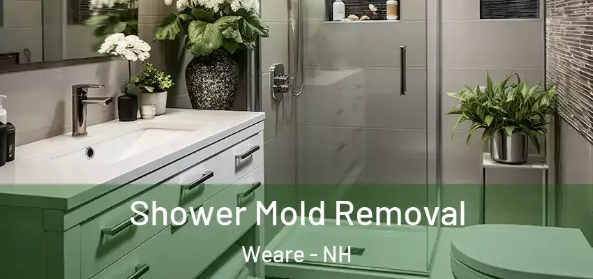  Shower Mold Removal Weare - NH