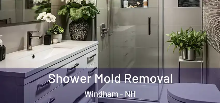  Shower Mold Removal Windham - NH